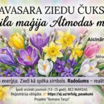 PAVASARA ZIEDU ČUKSTI: Akrila maģija Atmodas mēnesī