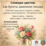 Словари цветов как букеты заменяли письма 💐📖