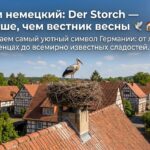 Почему аист — это «мини-страховка» для немецкого дома?