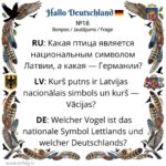 Викторина: Крылатые символы и дух нации