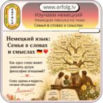 Язык — это зеркало души народа, а немецкий язык — это настоящий учебник по строительству крепких отношений.