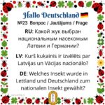 Новый раунд нашей викторины! Карточка №23: Маленькие вестники удачи