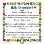 Маленькие хранители большого счастья: Вопрос викторины! 🍀