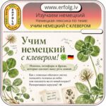 🍀 УЧИМ НЕМЕЦКИЙ С КЛЕВЕРОМ! 🇩🇪