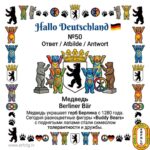 🐻Hallo Deutschland | Карточка №50 — раскрываем ответ!