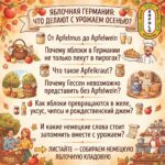 🍎Что происходит с яблоками в Германии после сбора урожая? Спойлер: далеко не всё заканчивается пирогом.