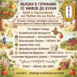 🍎Что общего у Белоснежки, Вильгельма Телля, Франкфурта, Дюрера и яблоневых садов у Боденского озера?